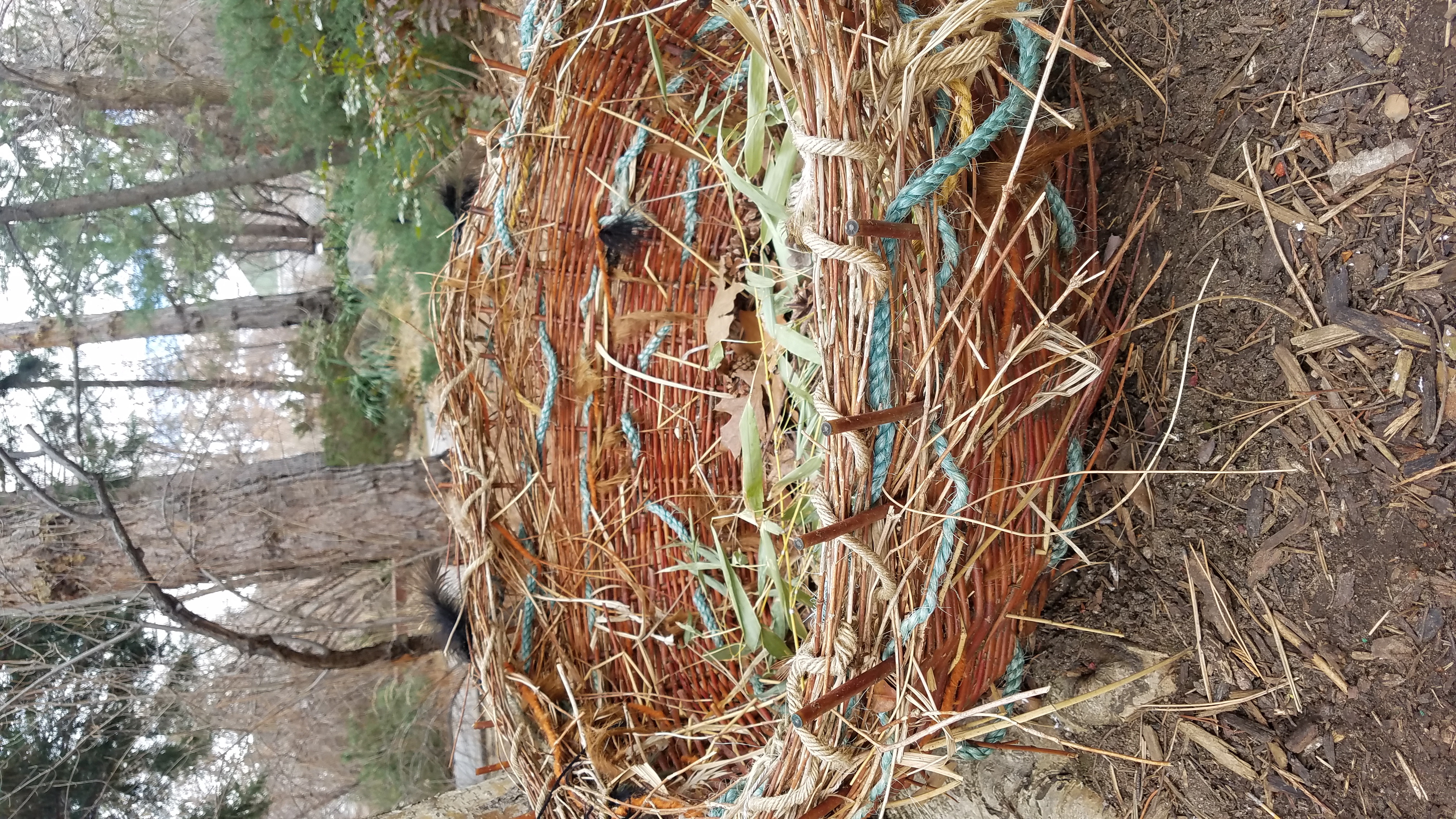 A close-up view of the handwoven nest on display in Songbird Garden.